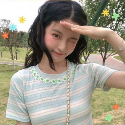 在这片青空下展翅飞翔内购破解版下载